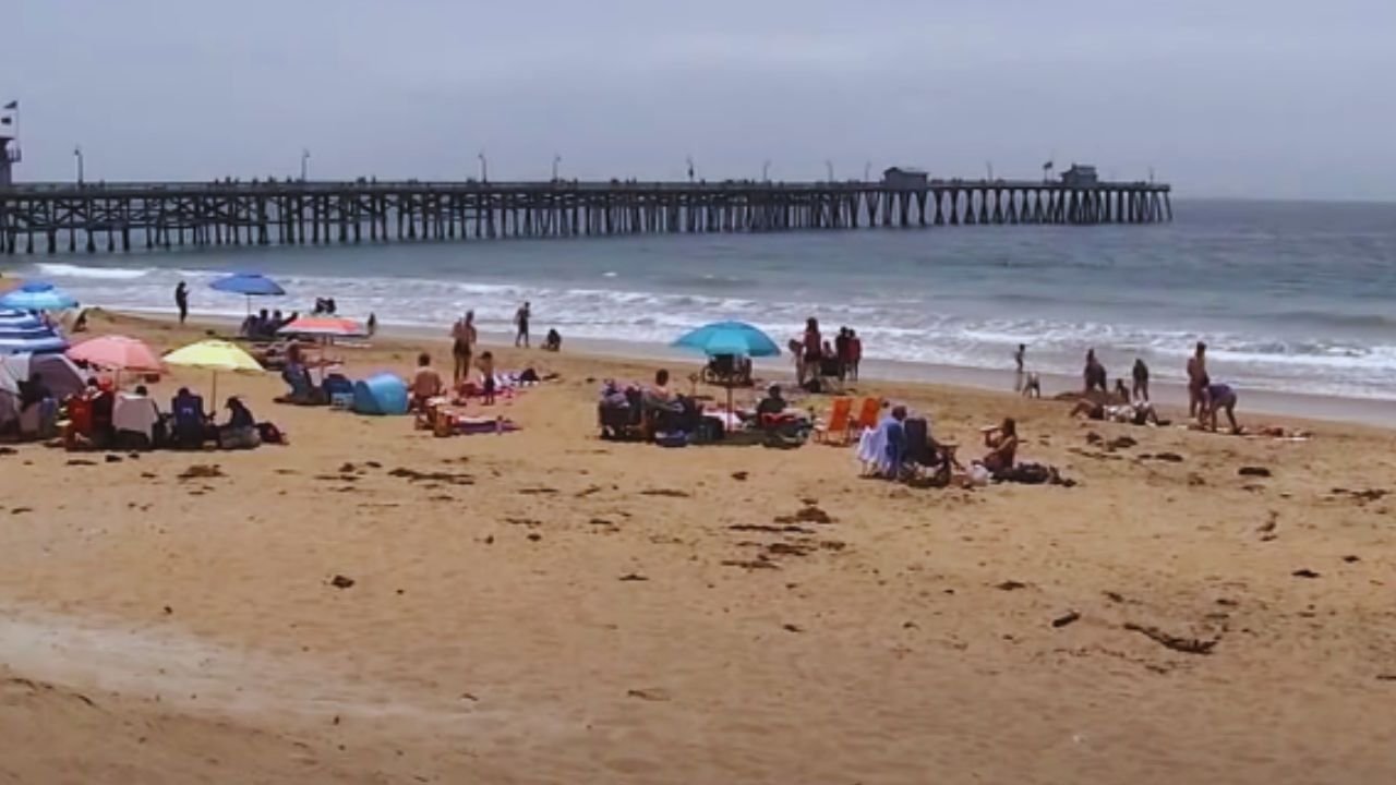 Surfer Tossed by Shark: California Beach Reopens Amid Debate